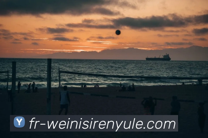 威尼斯人线上娱乐平台生态图